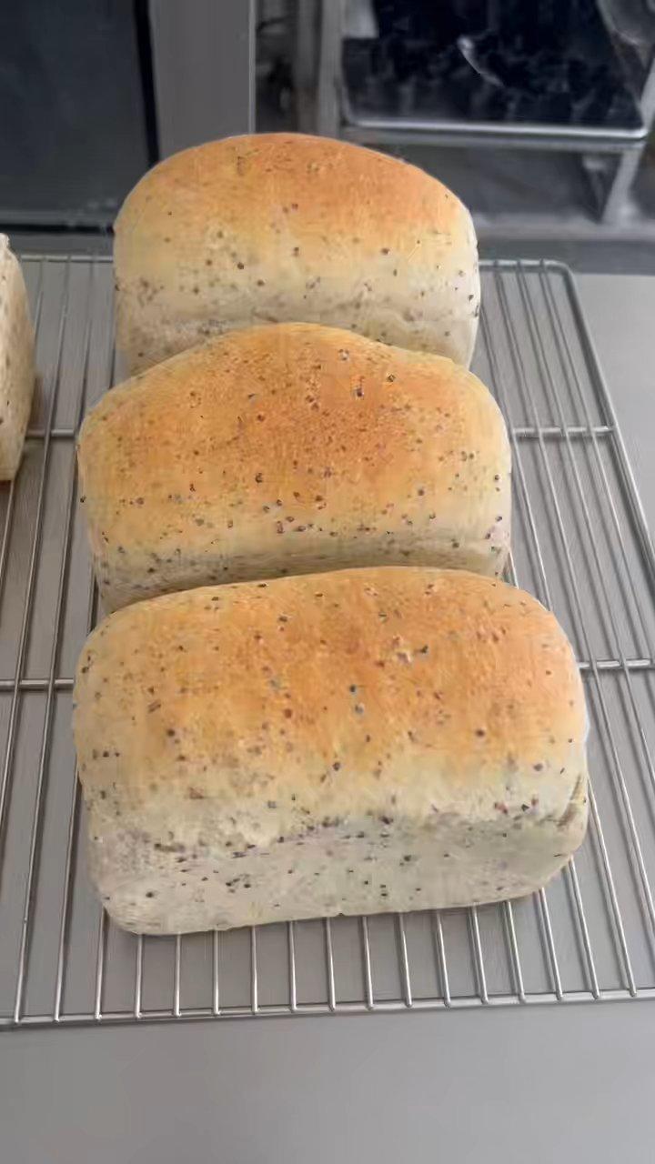 英式脆皮系列--藜麦主食吐司