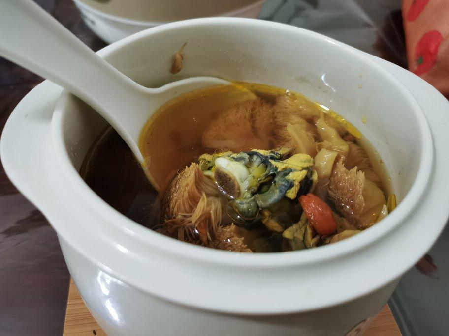 猴头菇炖鸡汤