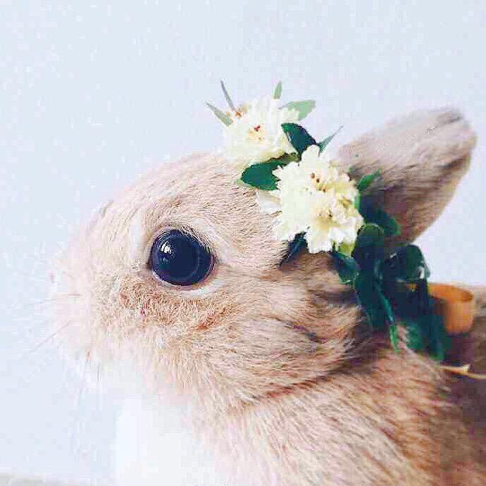 雉水菇凉的厨房