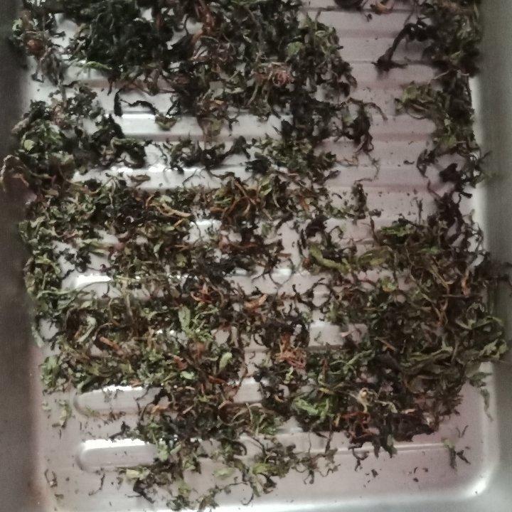 蒲公英茶（烤箱版）