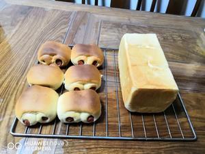 淡奶油版面包的做法 步骤5