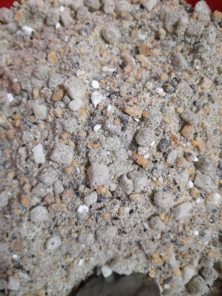 有着面包口感的红糖馒头（一次发酵）