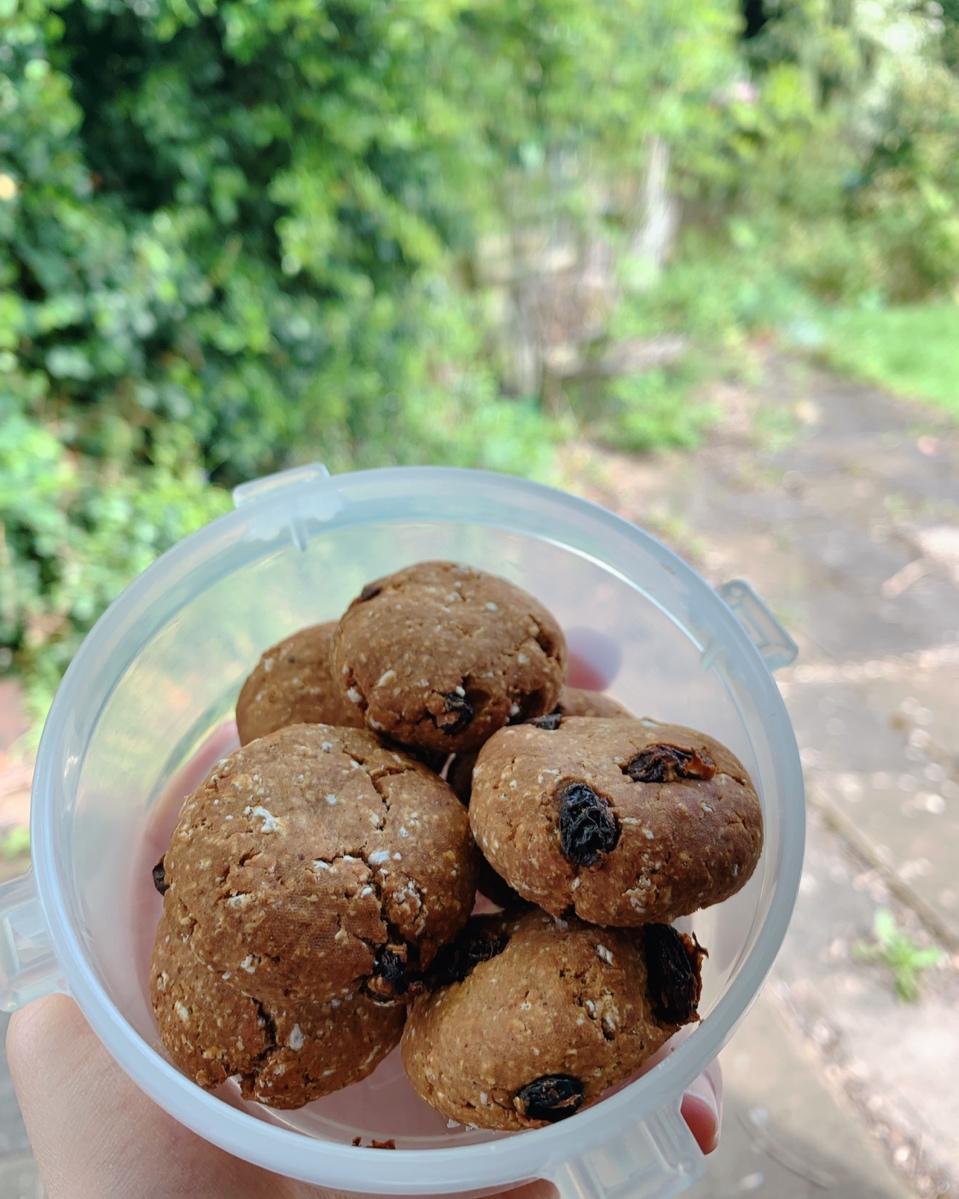 燕麦花生酥2.0版丨健康·零食<好好吃饭6>
