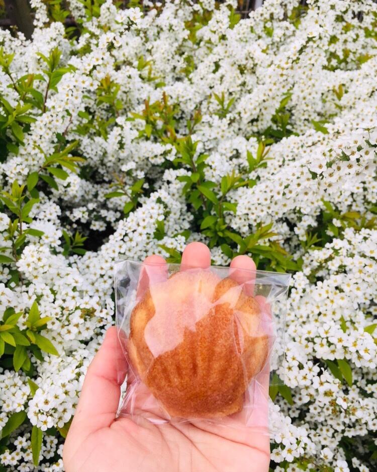 早餐•2019年3月27日