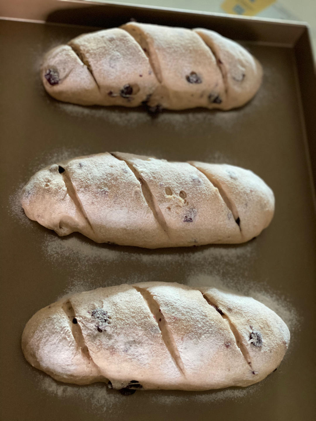 低油低糖--提子核桃软欧