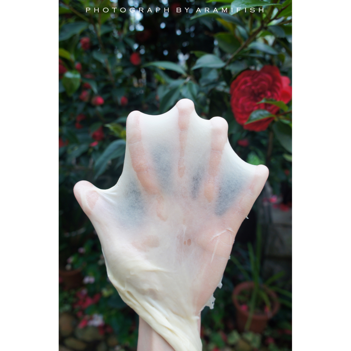 面包十五分钟手套膜及拉丝秘笈(附七岁儿童终极版)