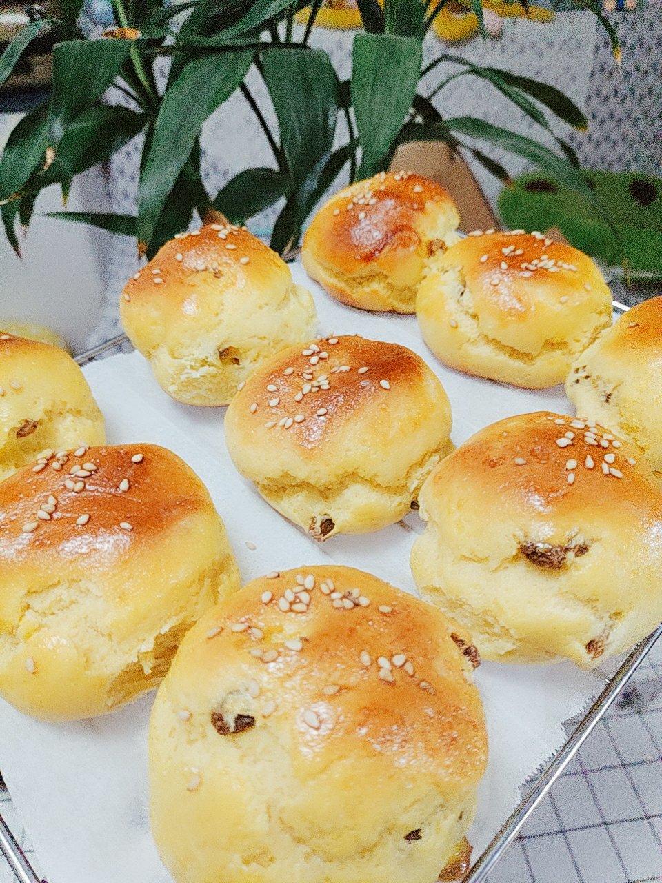玉米面小餐包(馒头)
