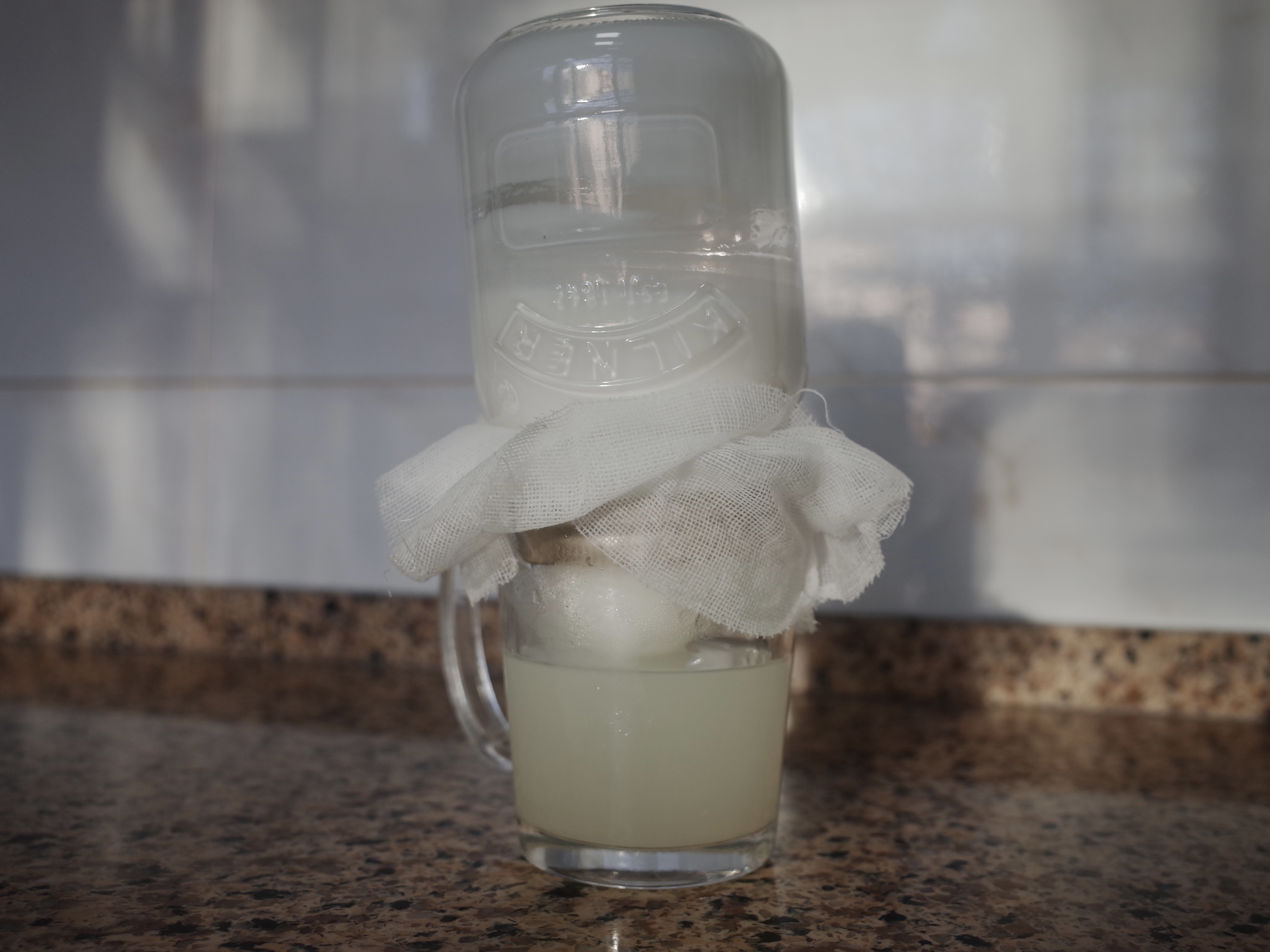 超级懒人（脱脂）希腊酸奶｜牛奶变希腊酸奶全程只用一个罐子的做法
