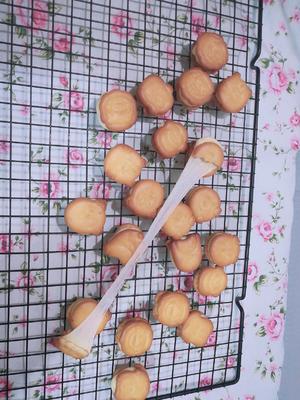 儿童可爱台贺小奇福动物造型饼干的做法 步骤5