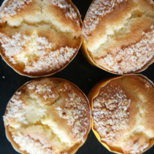 不会回缩的纸杯蛋糕--海氏烤箱定制