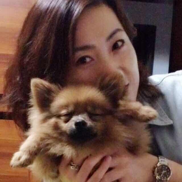 手机用户6234_puck