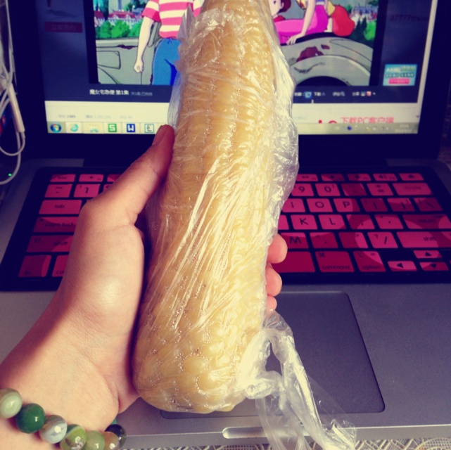 ♪Linnea饮食记录♪