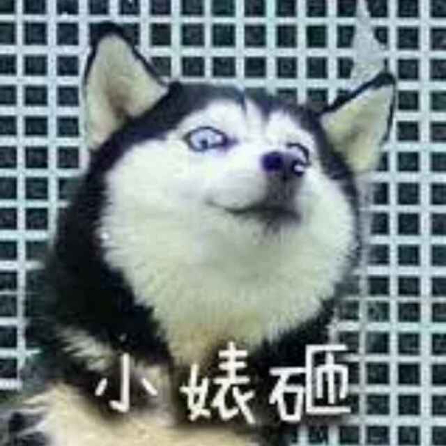 小婊砸-_h8pn