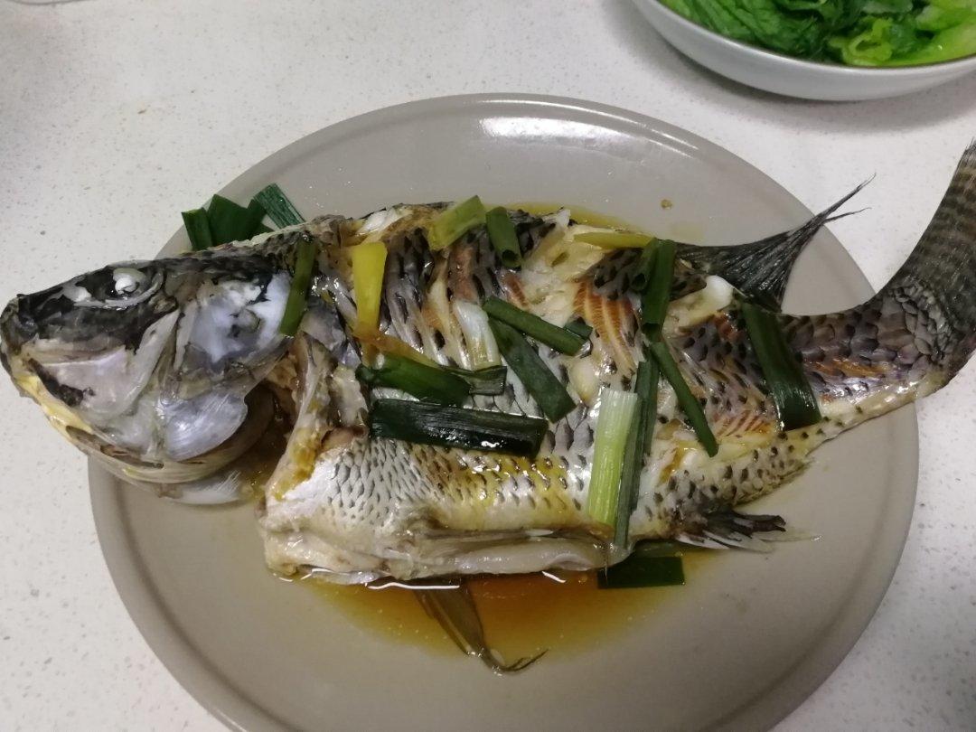 过年餐桌上少不了的菜——清蒸罗非鱼