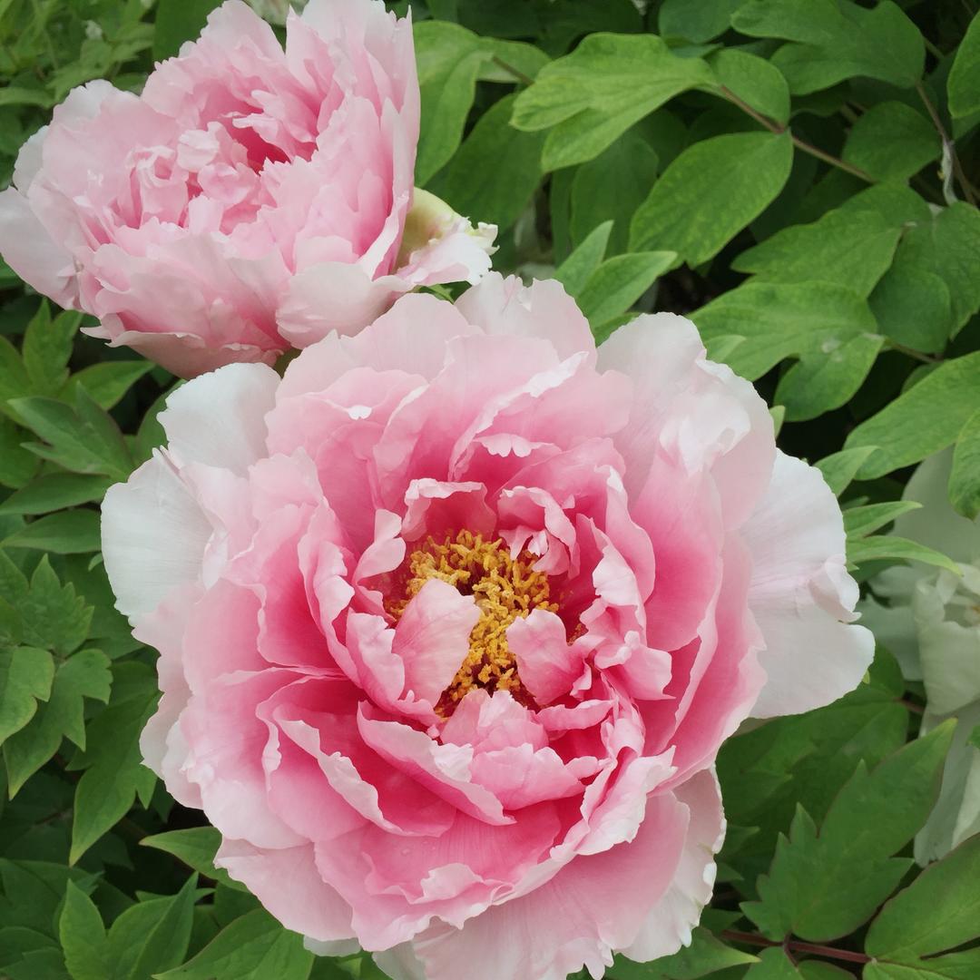 感觉自己棒棒哒哒