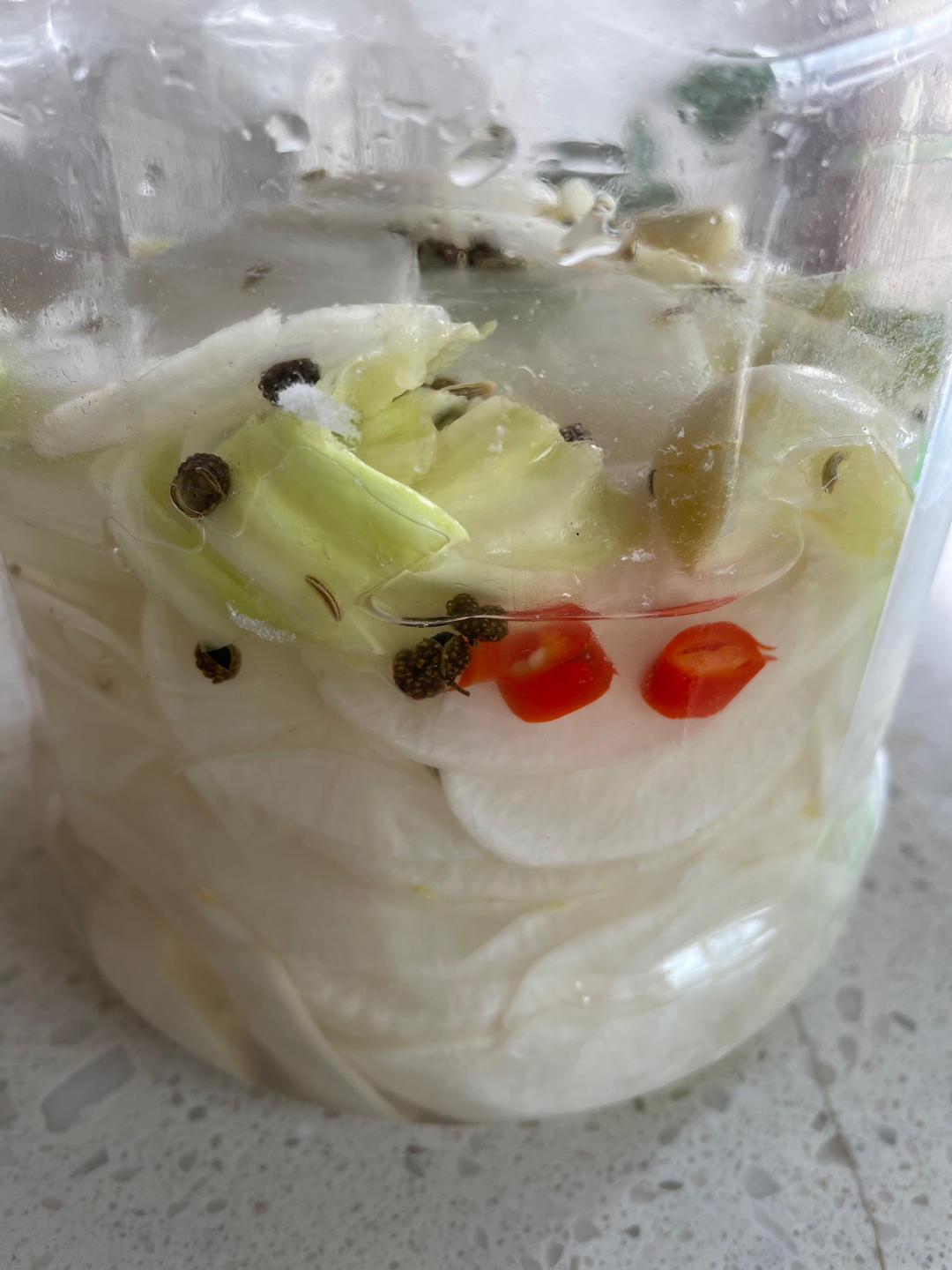 泡菜/泡黄瓜/泡洋葱（健康的乳酸发酵/非醋泡）