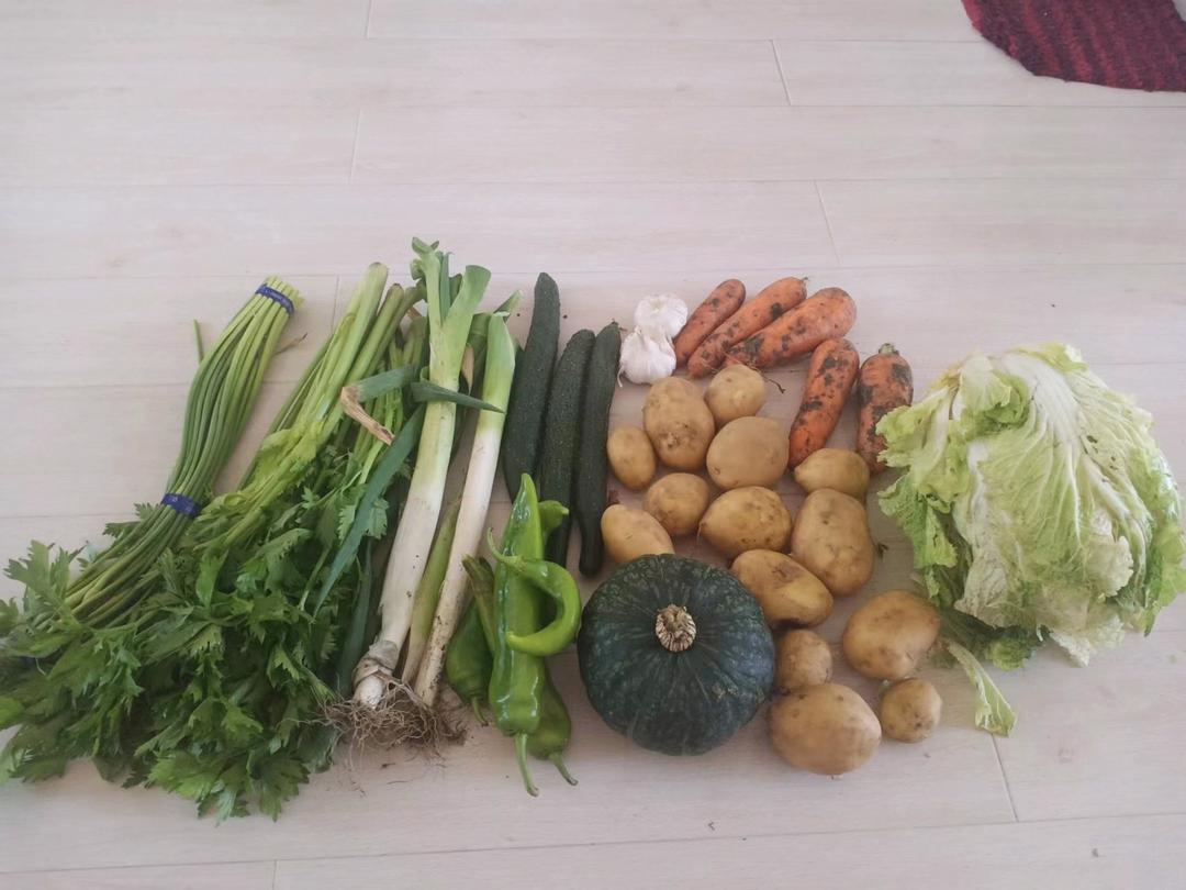 适合冷冻的蔬菜大全 - 封城准备对策
