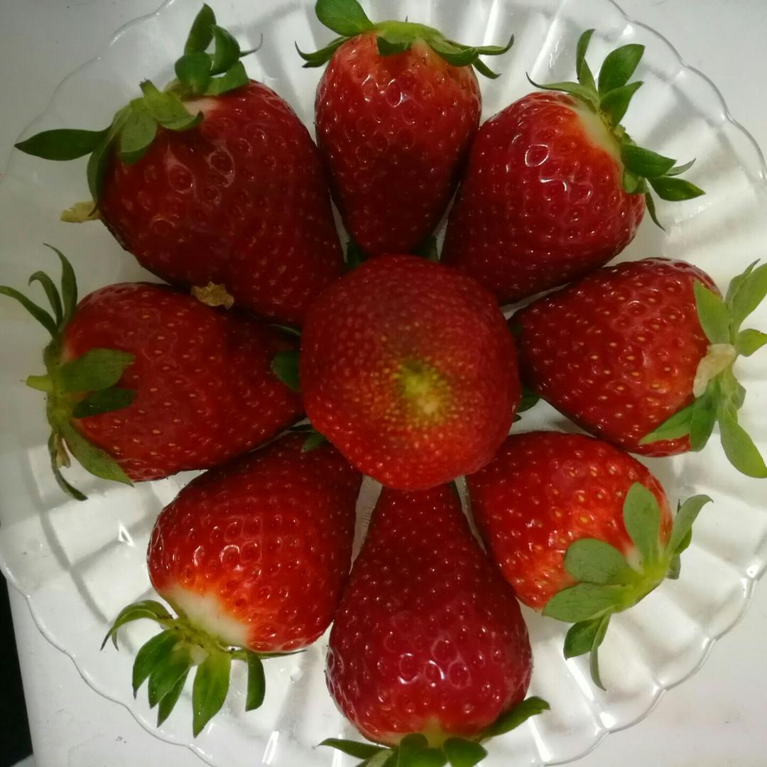 03月30日@公仔思乐冰每次都特别惊艳你的刀功和摆盘 山寨了你一张草莓