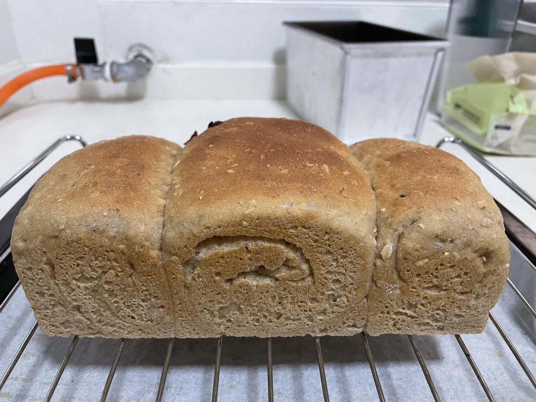 蜂蜜燕麦全麦吐司 100%全麦 波兰种