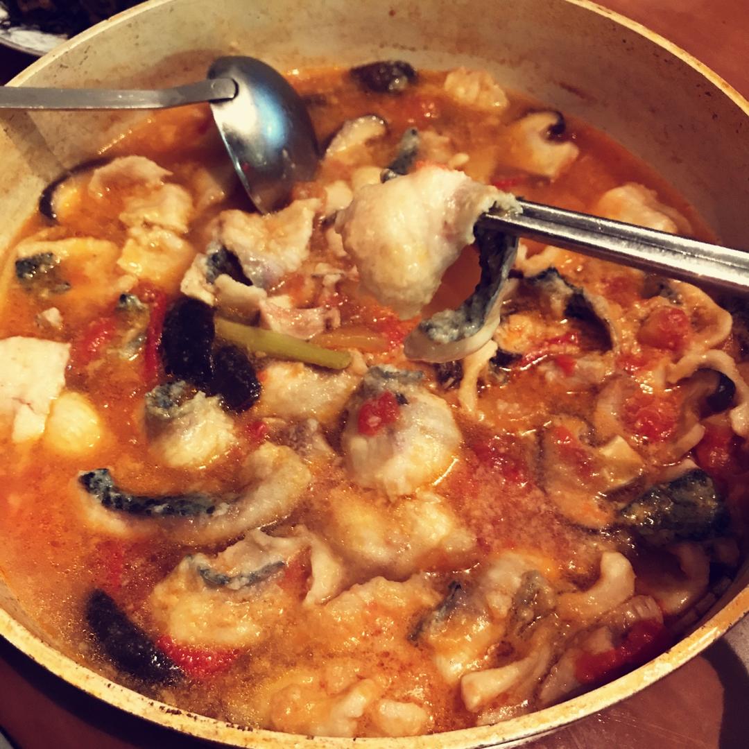 我终于做鱼了 番茄黑鱼