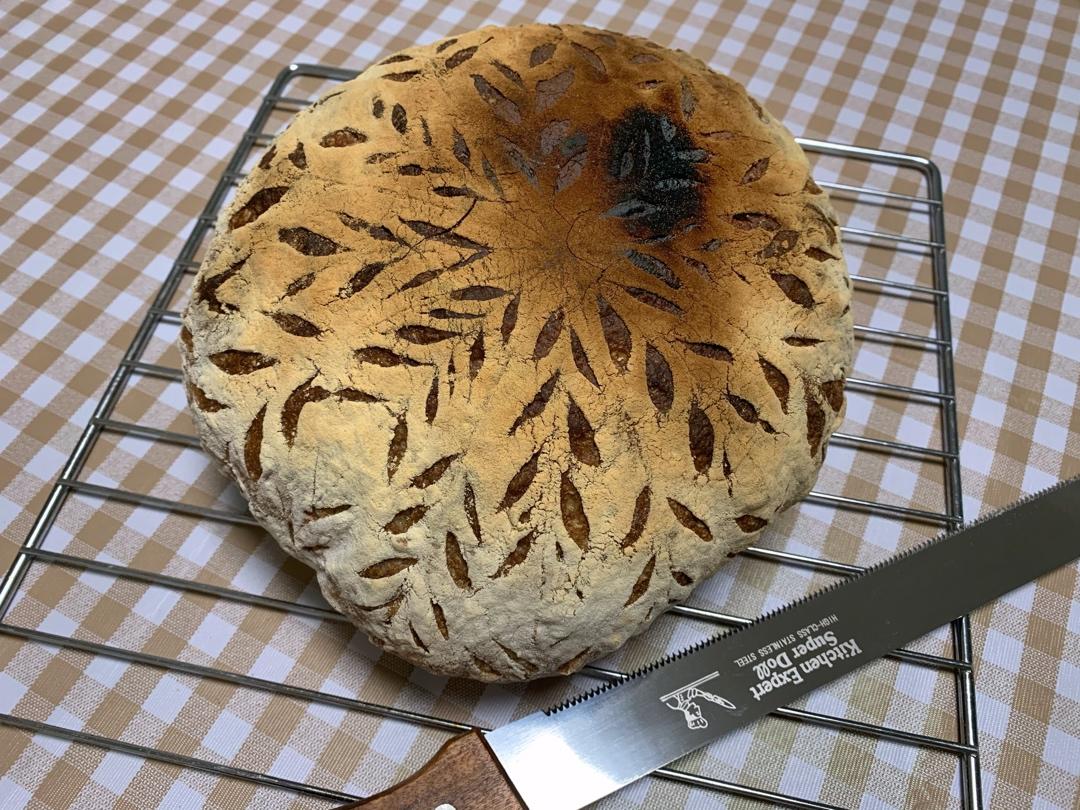 不可能减肥的欧包🥖（超简单！免揉！无油无糖）