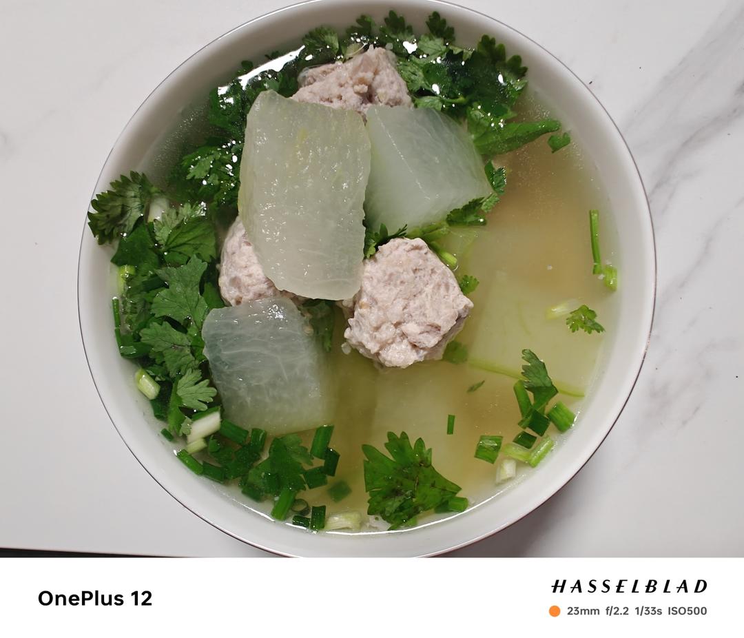 巨鲜美的冬瓜丸子汤