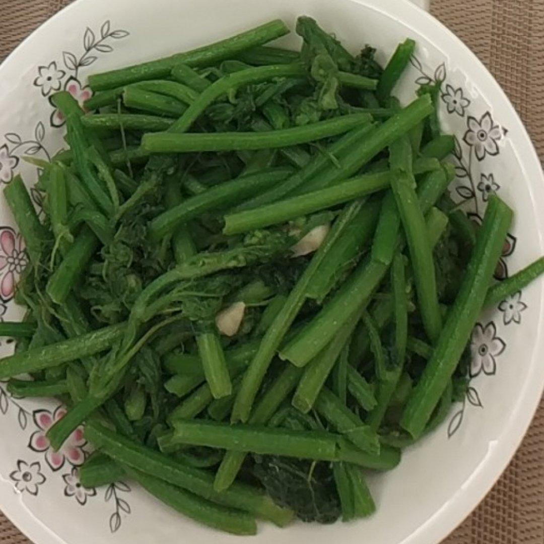 清炒南瓜苗
