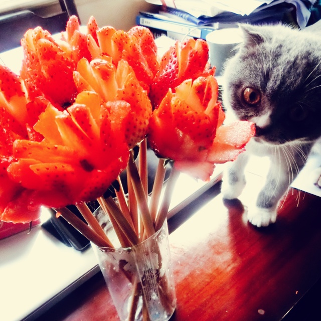 草莓玫瑰花