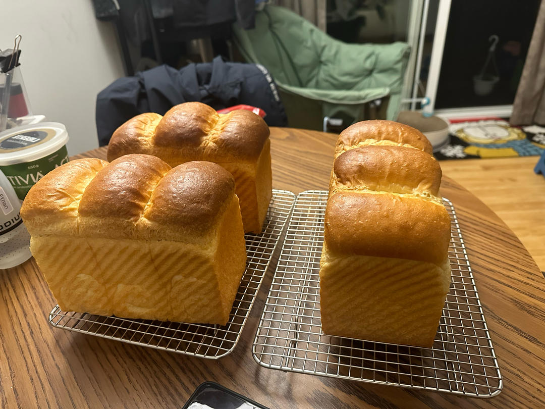 波兰种北海道吐司