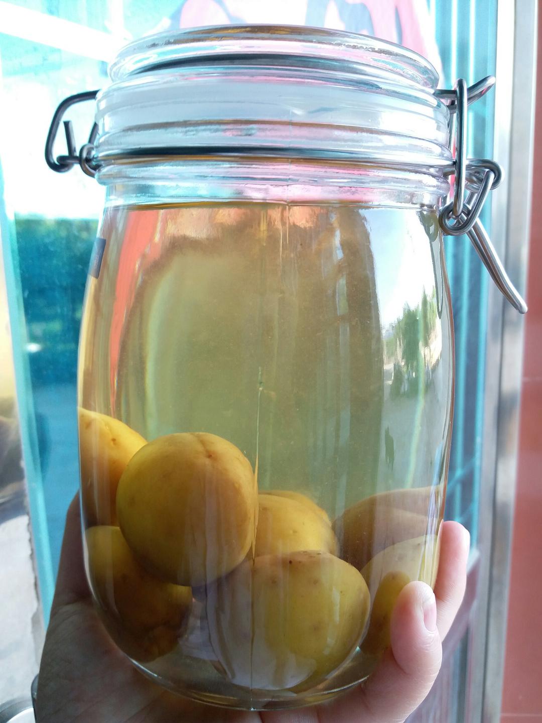 【青梅酒】梅子的沉醉时光（已填坑）