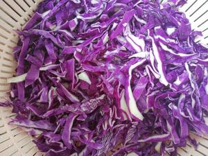 素食主义—紫甘蓝沙拉的做法 步骤3
