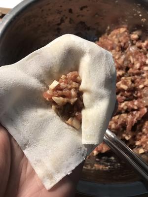 鲜肉虾粒杏鲍菇云吞的做法 步骤10