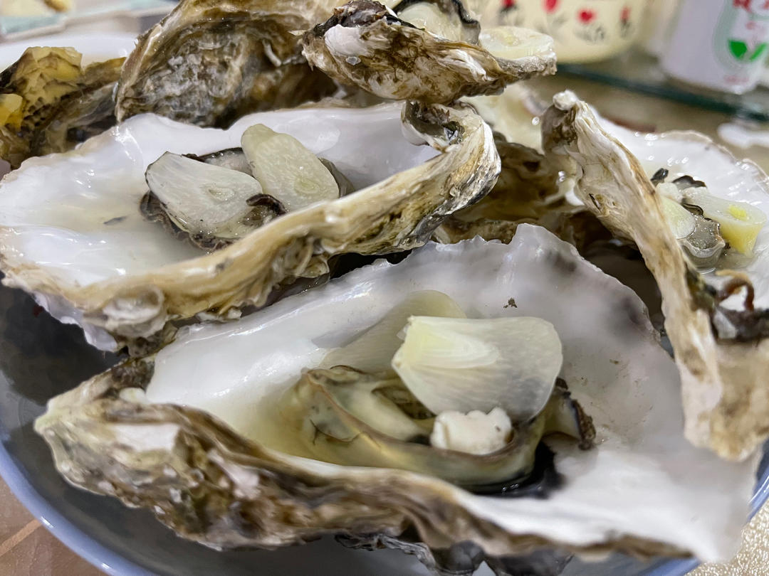 天天涮火锅做的清蒸生蚝