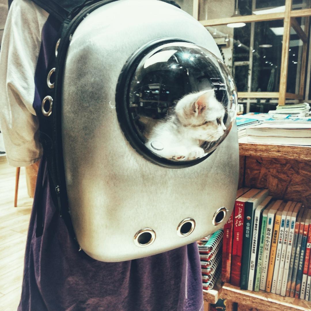 外星人的退休生活
