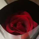 手机用户0711_170w