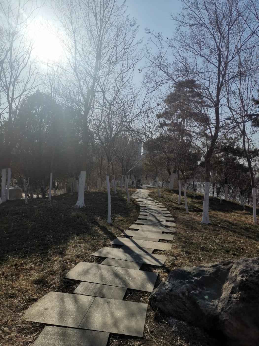 明_7s1z