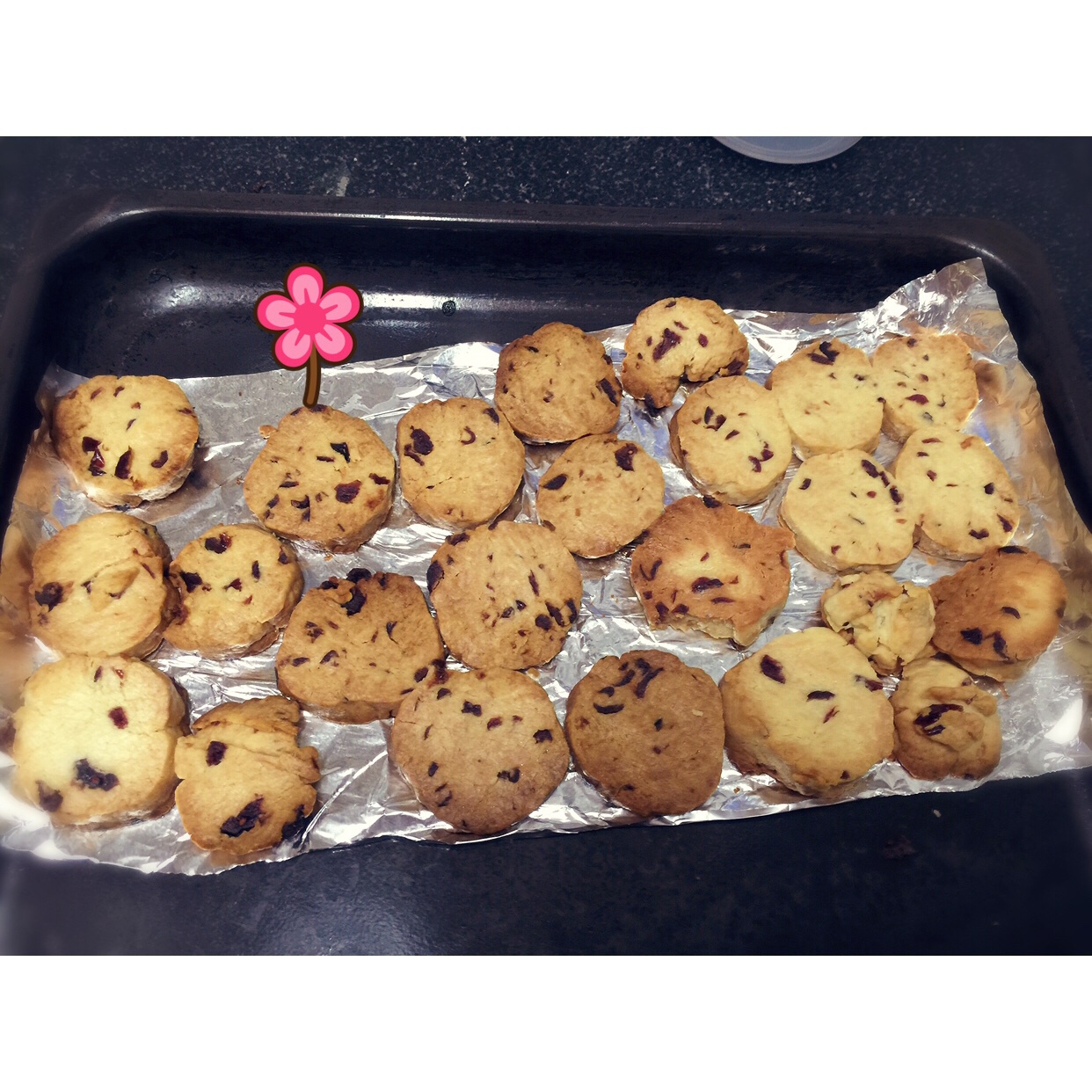 【球儿の】蔓越梅饼干