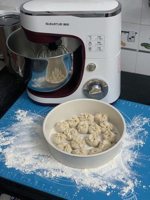自制饺子皮（附 厨师机揉面方法）的做法 步骤12