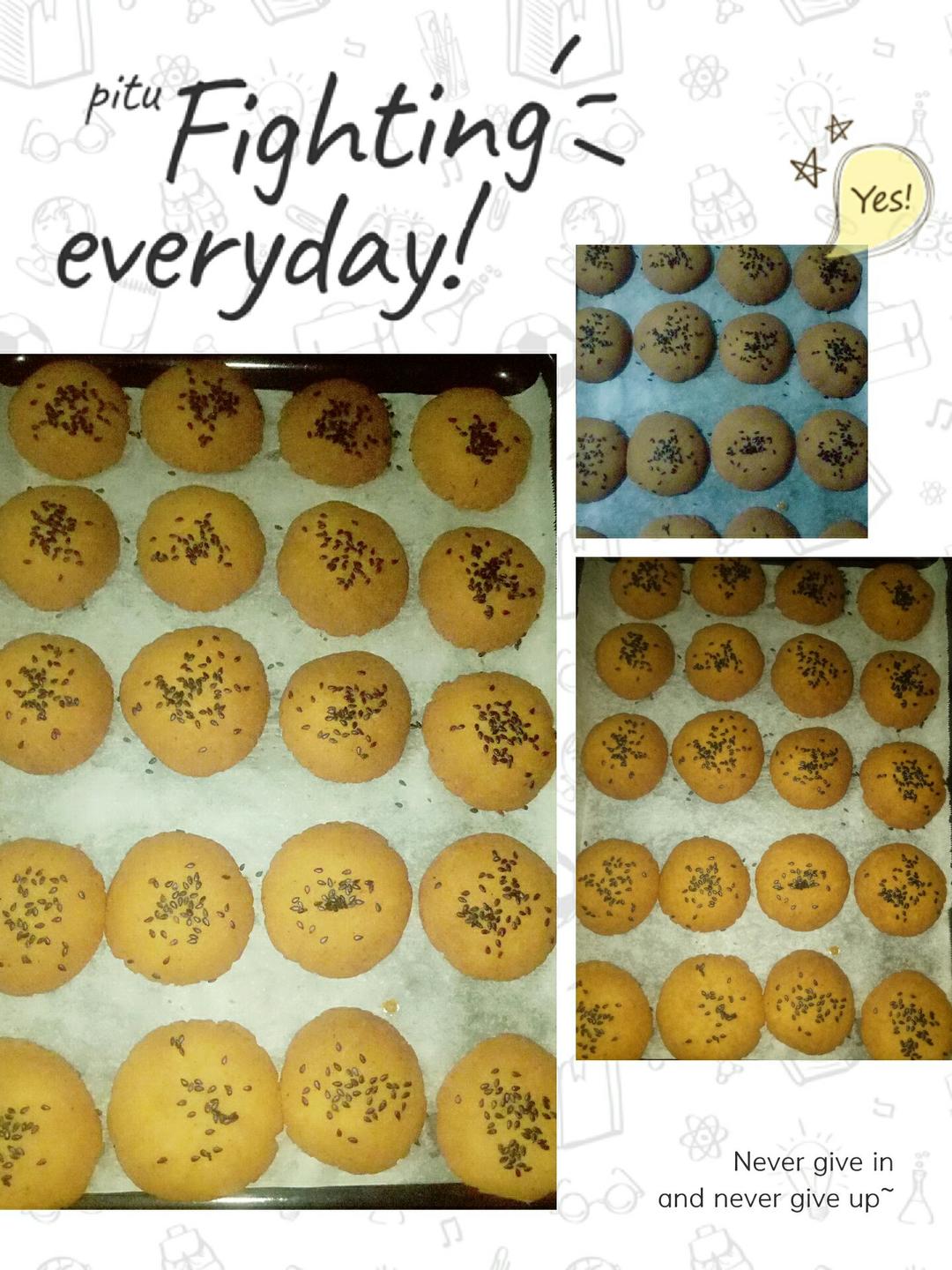 四川椒盐桃酥传统经典