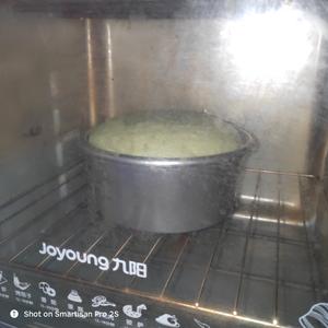 菠菜汁戚风蛋糕(六寸)的做法 步骤12