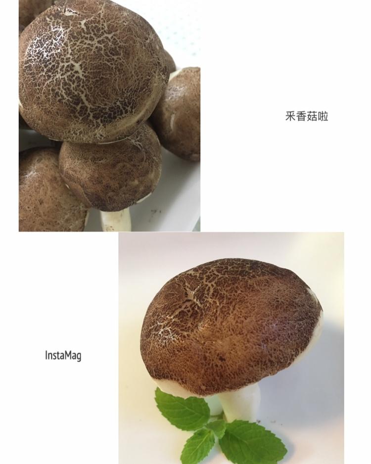 香菇馒头