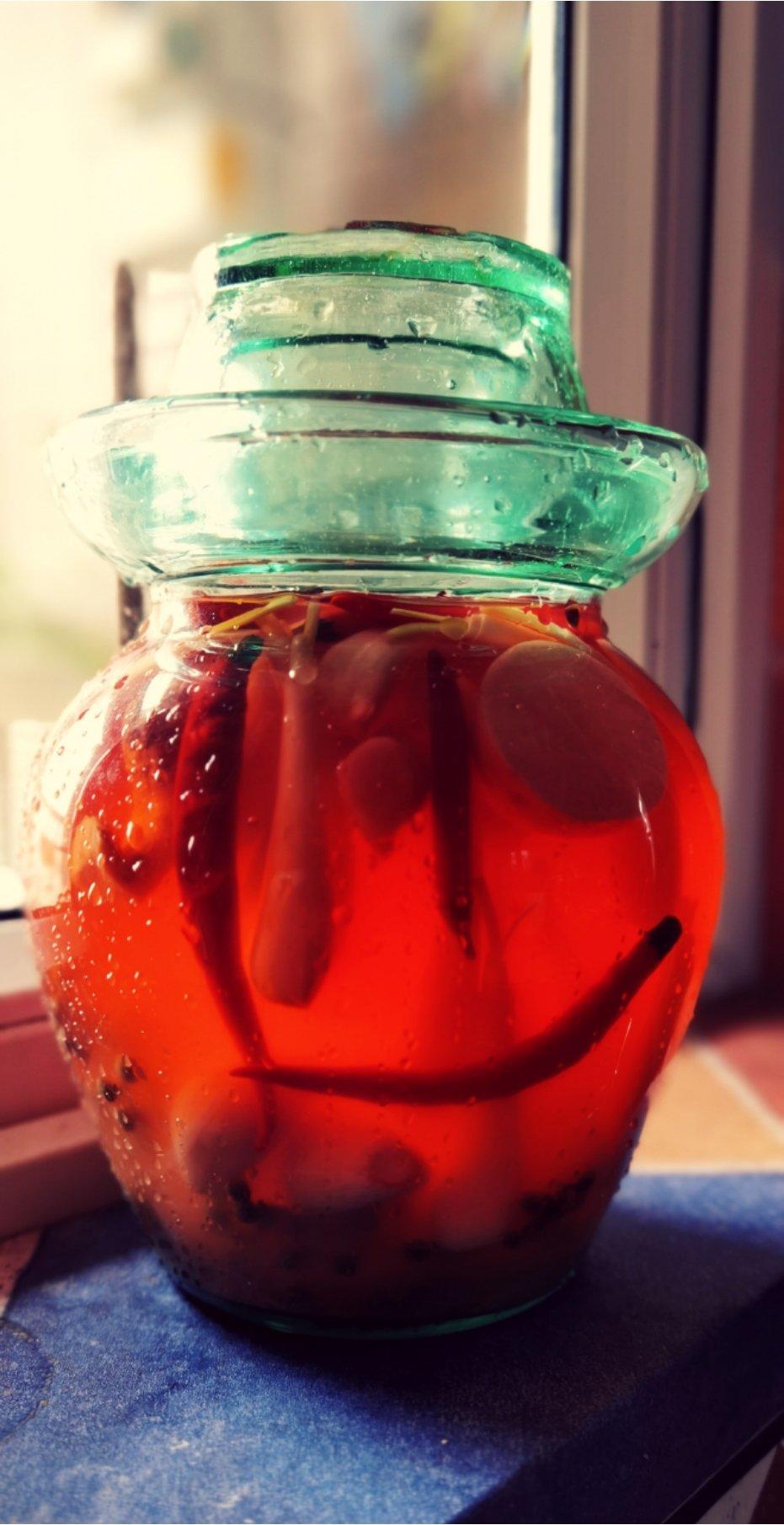 不易坏的四川泡菜（生水版）