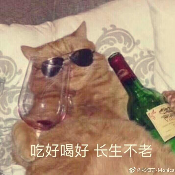 王大厨总有一天会发作品