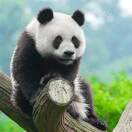 微信用户_BVbs的厨房