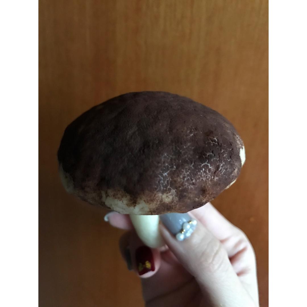 蘑菇包