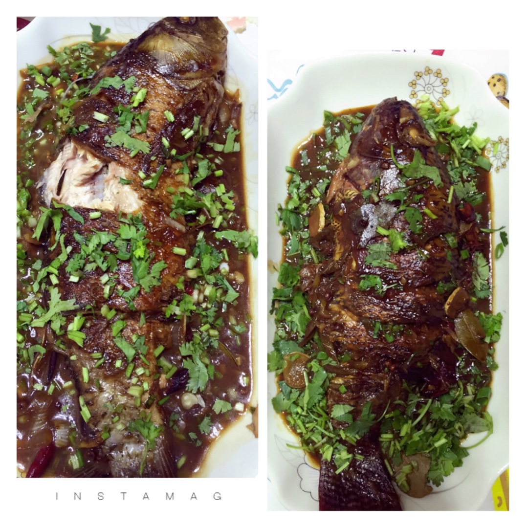 家常烧鱼