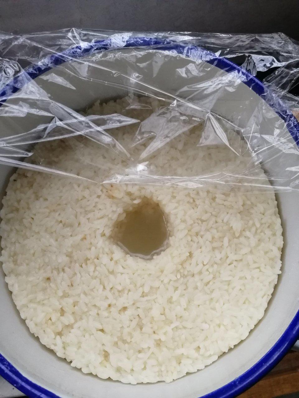 酒酿 (酒酿系列一）