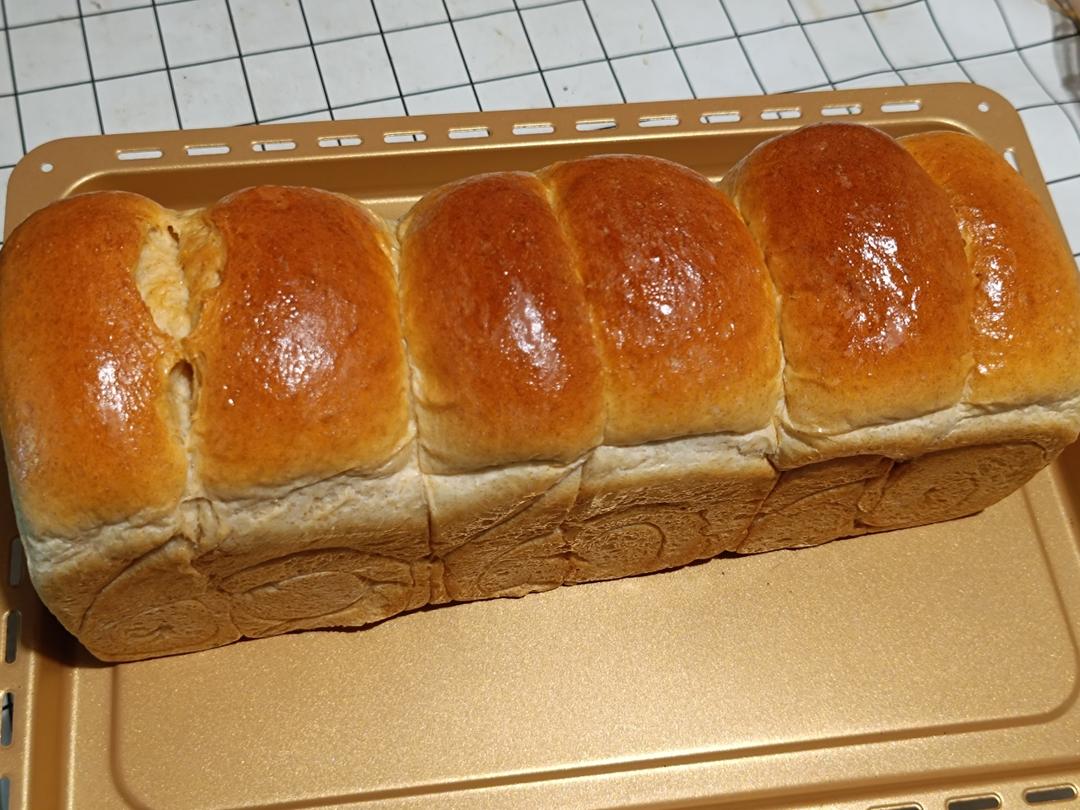 40%全麦吐司🍞（波兰种）