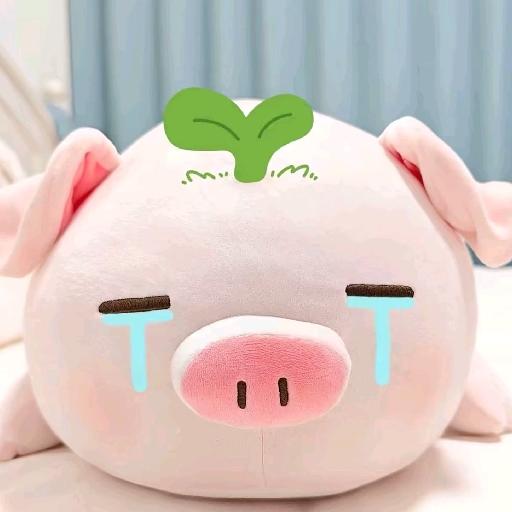 比椰