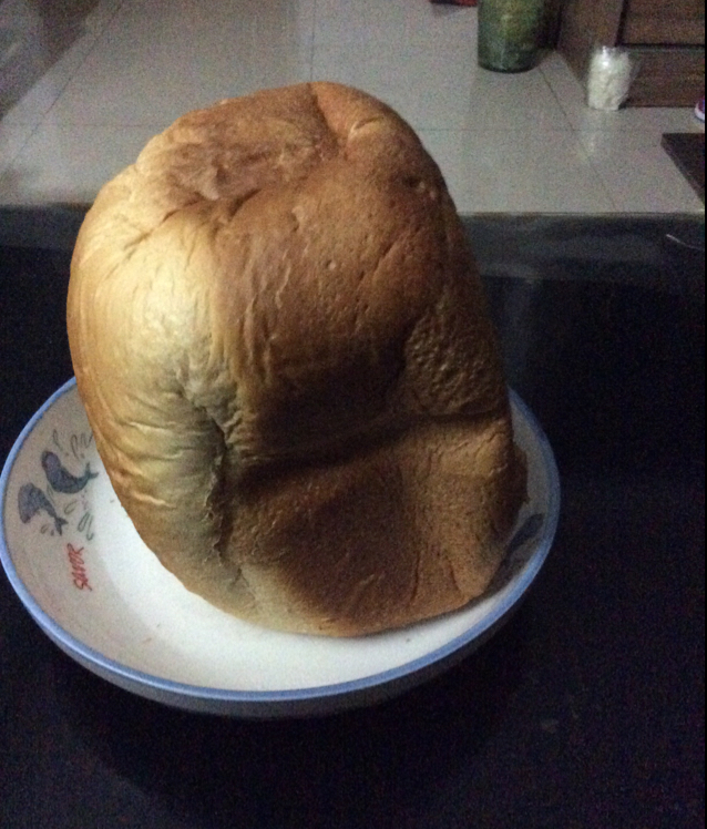 提子土司（柏翠面包机PE6280）自用方子